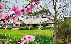 Seppeltsfield Vineyard Retreat - 3 Bedroom Holiday Home